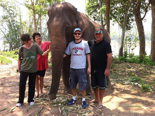 Four tourists pet an elephant under trees, banana leaves on the ground