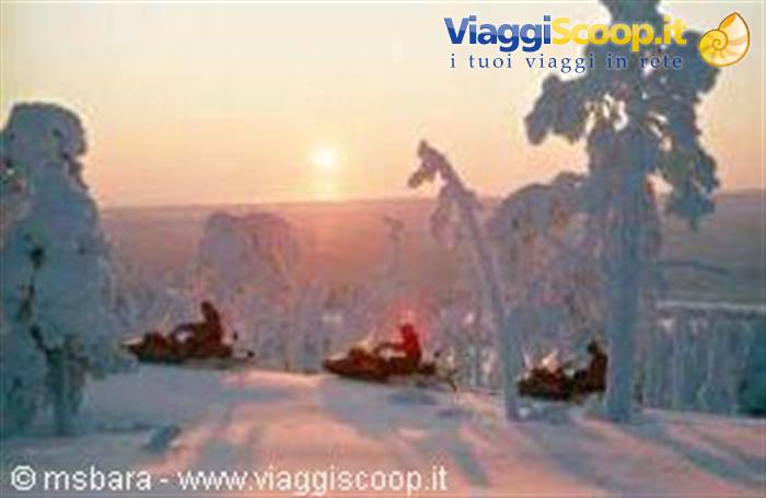 Snowmobiles riding past snow-covered trees under low sun, Lapland