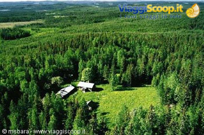 Isolated wooden farmstead amid dense green forests, aerial view