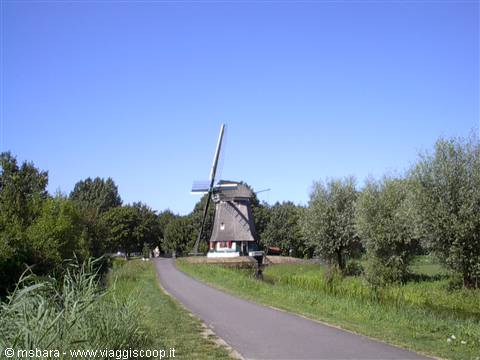 Brick windmill beside a paved path among trees and reeds