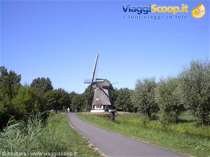 Brick windmill beside a paved path among trees and reeds