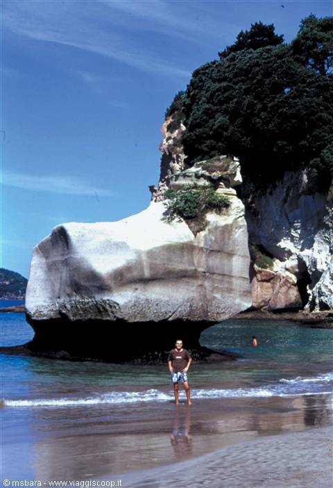 a bit of sea in the Coromandel