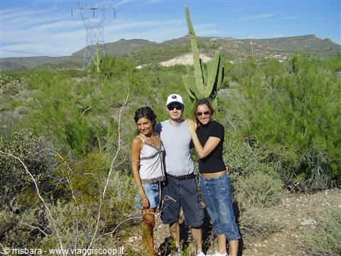 Three friends pose beside a large saguaro cactus in the sunny desert