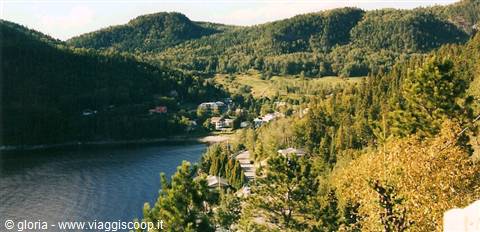 Village by the fjord, houses among conifer woods and green hills