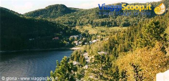 Village by the fjord, houses among conifer woods and green hills