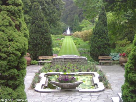 Fountain among conifers above a lily pond, stone benches and grassy avenue