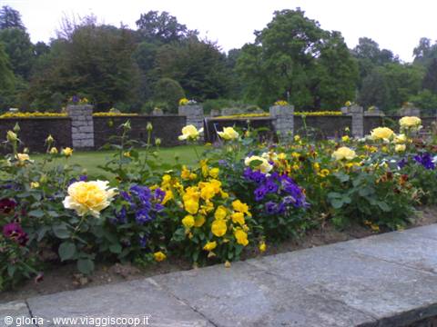 Yellow and purple flowers blooming in front of a stone wall in the park