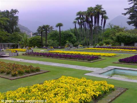 Yellow and purple flowerbeds among palms, a reflecting pool and misty mountains: Villa Taranto