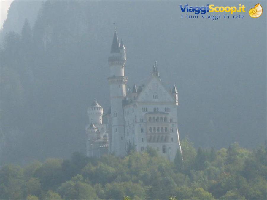 Neuschwanstein castle emerges from the mist above the trees
