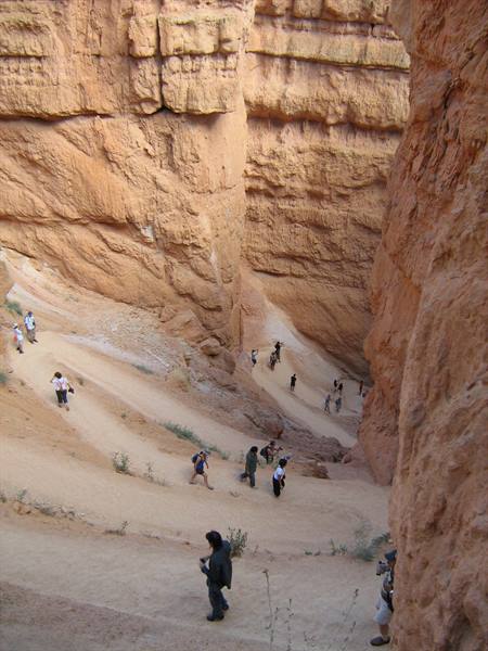 Hikers descend the switchback trail among Bryce Canyon's orange rock walls