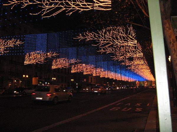 Golden branch-shaped Christmas lights above a city street at night