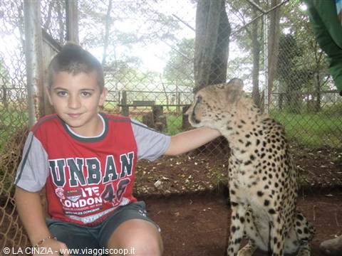 ANDREA AND THE CHEETAH! A UNIQUE EMOTION!