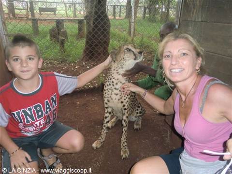 ANDREA, HIS MOM CINZIA AND THE CHEETAH!