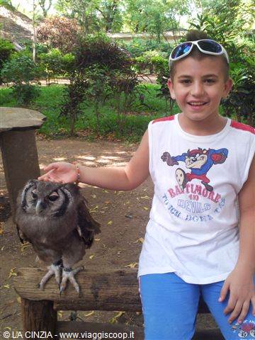 ANDREA AT THE FALCONRY OF MALINDI