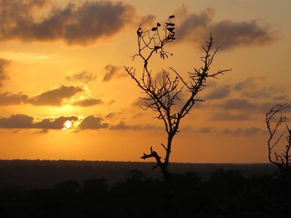 POSTCARD SUNSETS