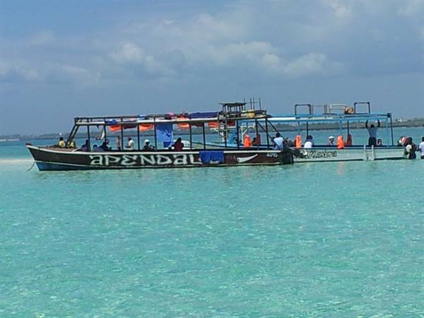 THE COLOURS OF THE BLUE SAFARI