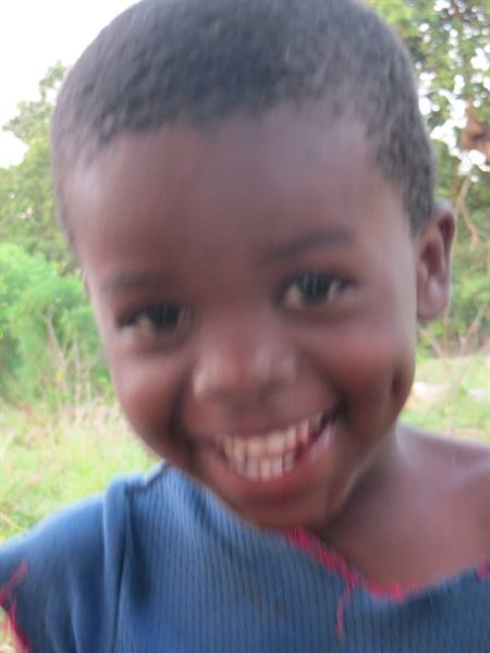 THE CHILDREN OF THE VILLAGE