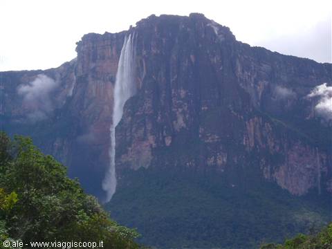 the Angel Falls