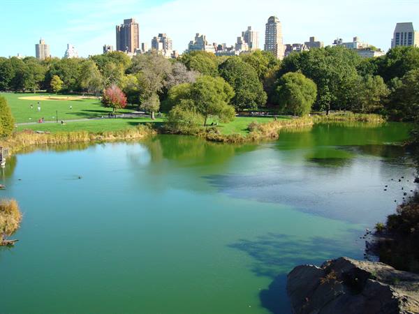 Central Park
