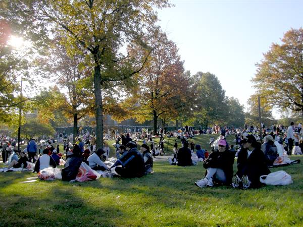 Crowd sitting on grass in an autumn park under golden trees