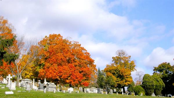 Autumn cemetery with stone gravestones beneath orange trees and cloudy sky