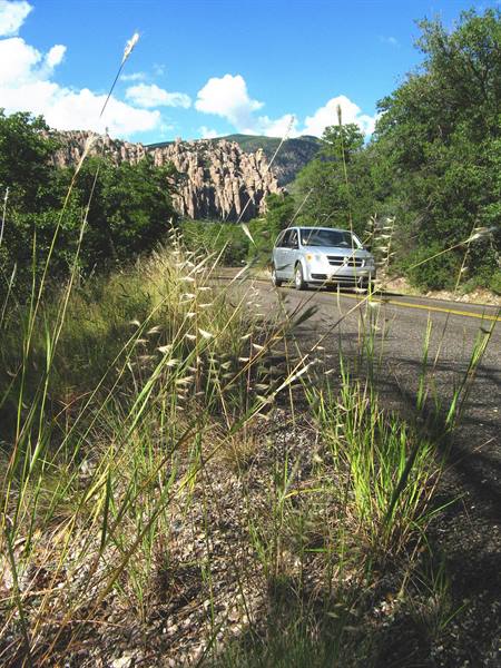 Chiricahua National Monument