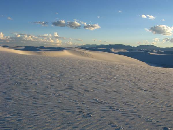 Dune di sabbia bianca e impronte sotto le nuvole, White Sands