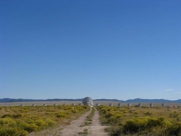 Strada sterrata tra arbusti gialli verso le antenne del Very Large Array
