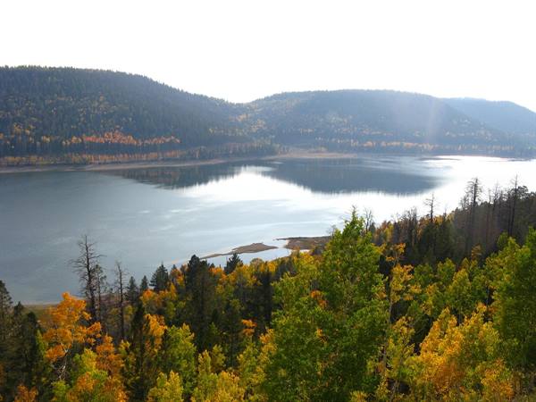Lago di montagna circondato da boschi autunnali, luce morbida e acque ferme
