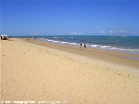 Pale sandy beach with swimmers at the waterline under a blue sky