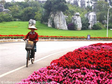 Kunming -stone forest