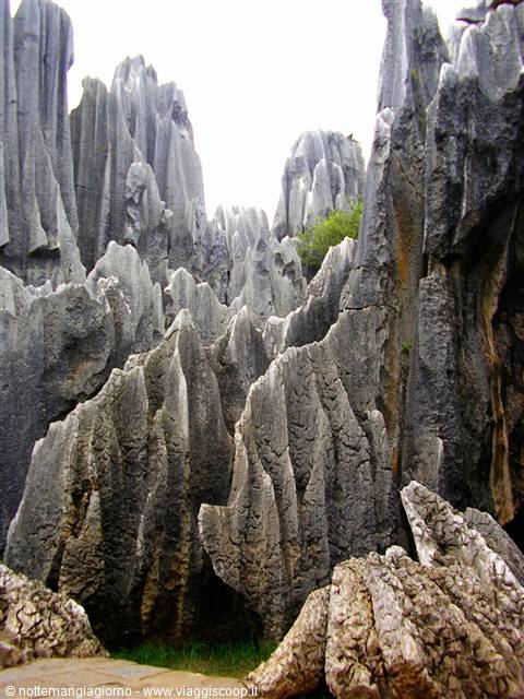 Kunming -stone forest