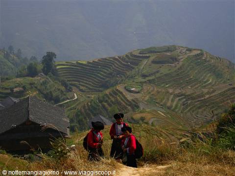 Dragon's Backbone terraces
