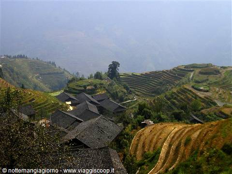 Dragon's Backbone terraces