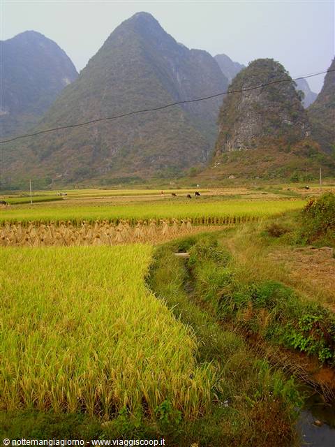 Yangshuo