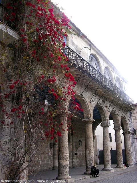 Havana