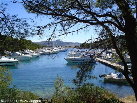 The Aci marina of Palmizana