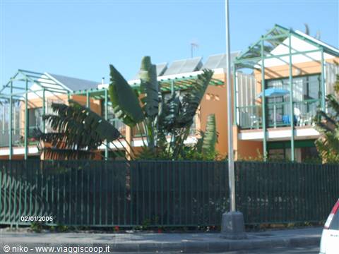 Resort with green metal-framed houses and banana palms behind a fence