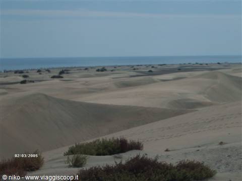 Sand dunes with shrubs and the sea in the background, Maspalomas