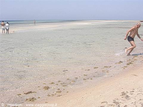 Man in swim trunks runs through shallow turquoise water on a sandy beach