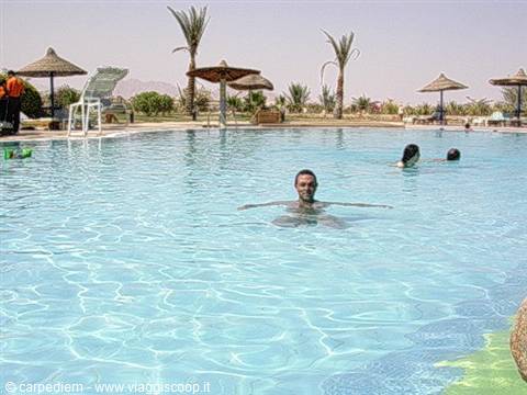 Swimmer in turquoise pool among palm trees and straw umbrellas, desert resort