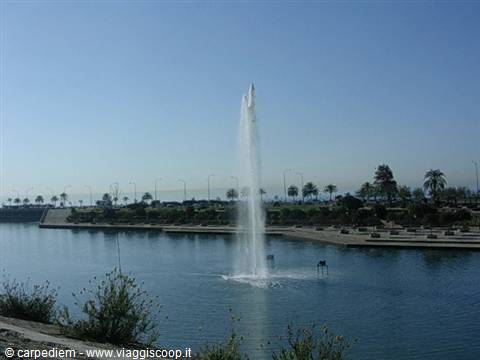 Fountain jets water high over an urban lake lined with palms