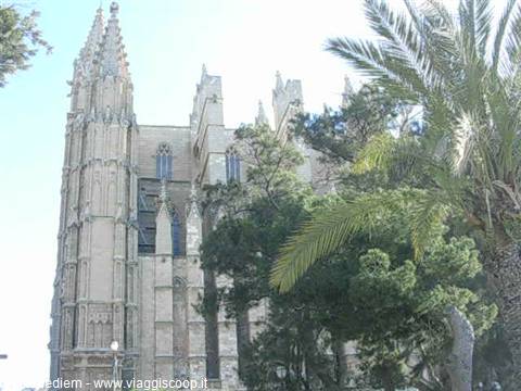 Palma's Cathedral of Santa Maria framed by pines and palms, golden stone