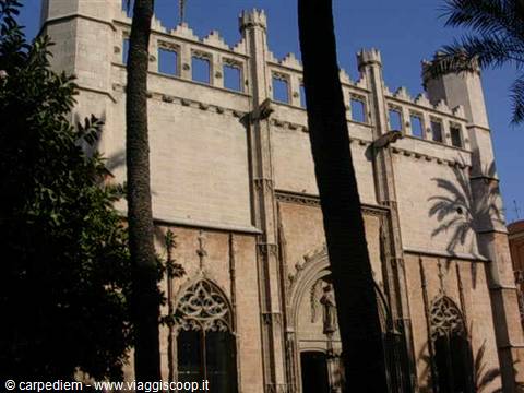 Gothic sandstone facade of Llotja de Palma among palm trees, sunny light