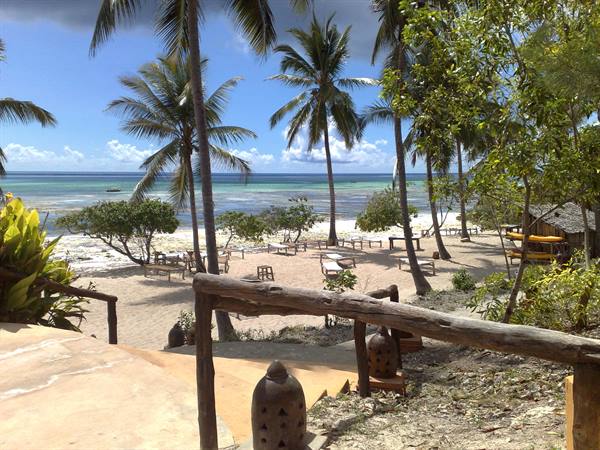 Sandy beach with palm trees, wooden loungers and reef on the horizon