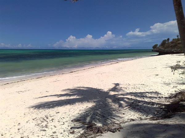 Palm tree shadow on white sand, turquoise sea and cloudy sky
