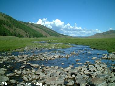 the steppe