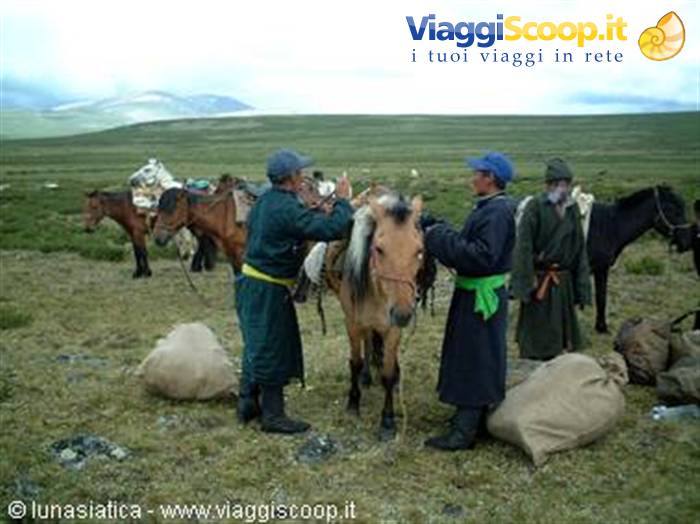 loading the horses