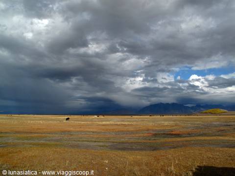 steppe