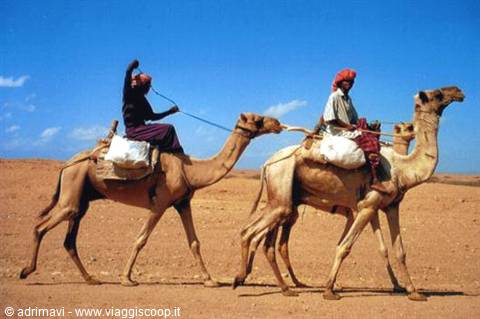 meeting on the Asmara - Massawa road